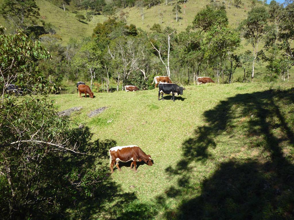 Apartamento Ferias Fazenda Usina 1 Bocaina de Minas Dış mekan fotoğraf