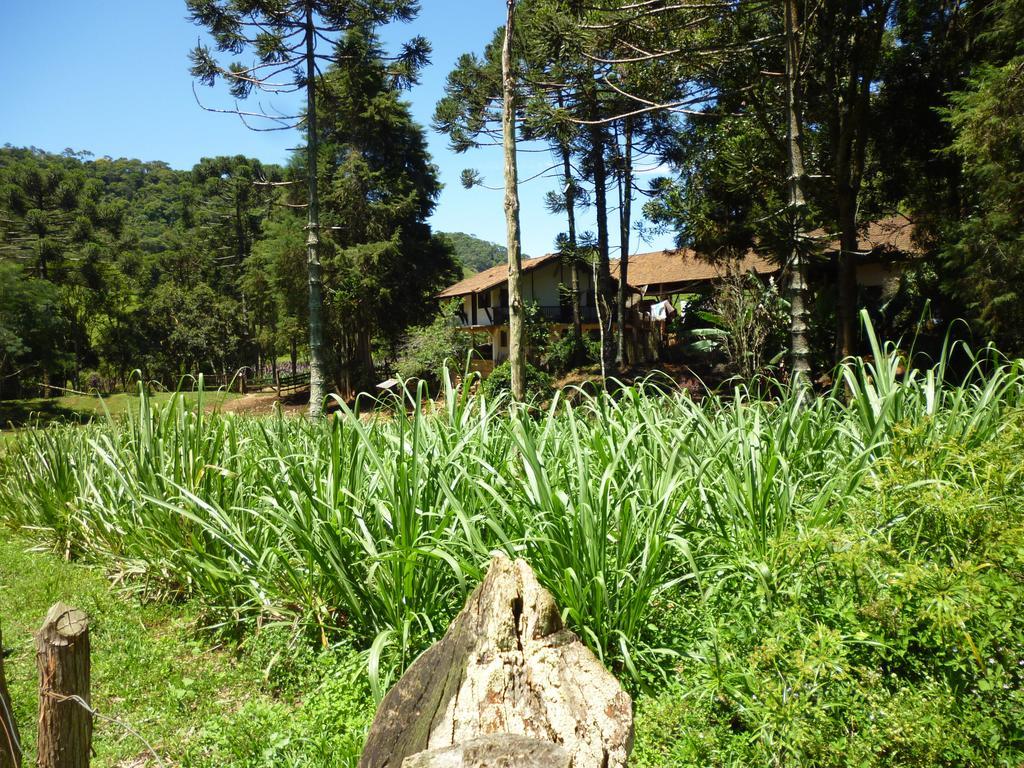Apartamento Ferias Fazenda Usina 1 Bocaina de Minas Dış mekan fotoğraf
