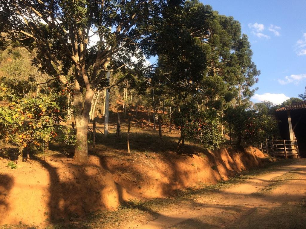 Apartamento Ferias Fazenda Usina 1 Bocaina de Minas Dış mekan fotoğraf