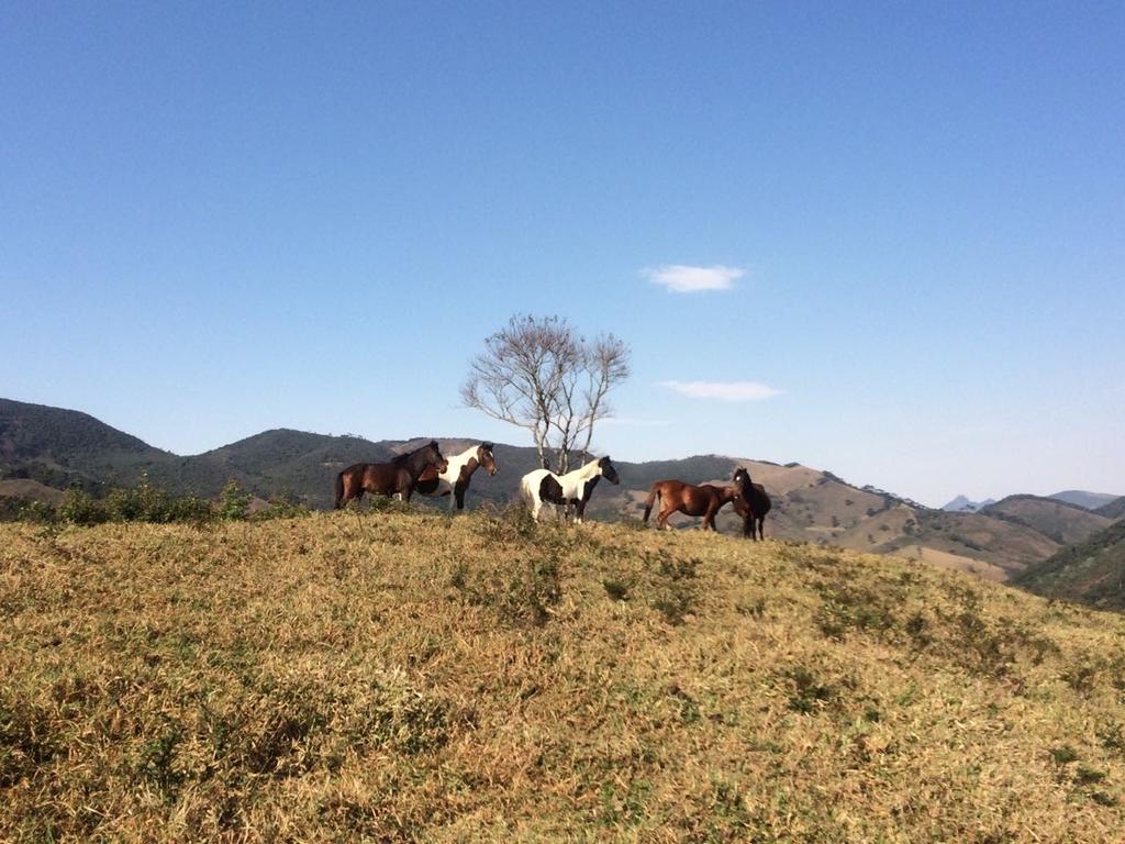 Apartamento Ferias Fazenda Usina 1 Bocaina de Minas Dış mekan fotoğraf