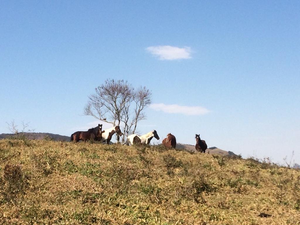 Apartamento Ferias Fazenda Usina 1 Bocaina de Minas Dış mekan fotoğraf