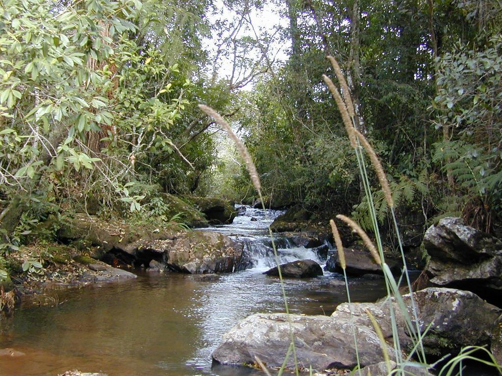 Apartamento Ferias Fazenda Usina 1 Bocaina de Minas Dış mekan fotoğraf