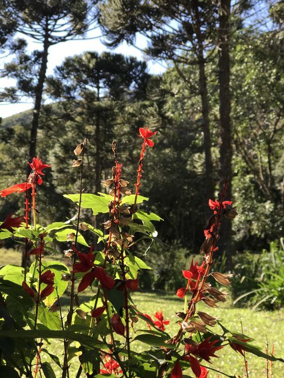 Apartamento Ferias Fazenda Usina 1 Bocaina de Minas Dış mekan fotoğraf