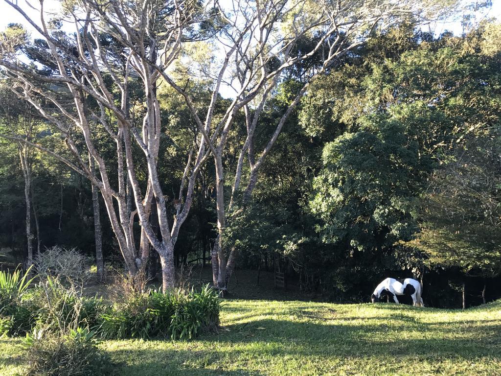 Apartamento Ferias Fazenda Usina 1 Bocaina de Minas Dış mekan fotoğraf